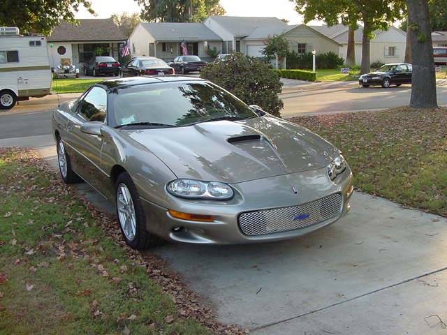 My Mesh Grille From the Left